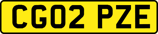 CG02PZE