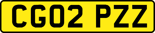 CG02PZZ
