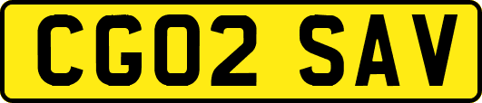CG02SAV