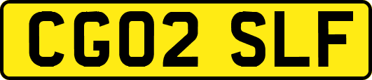 CG02SLF