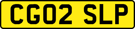 CG02SLP