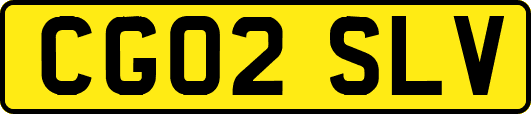 CG02SLV
