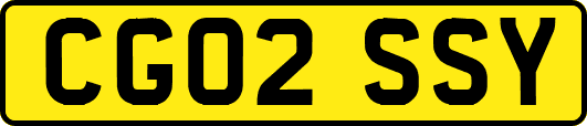 CG02SSY