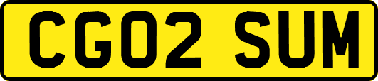 CG02SUM