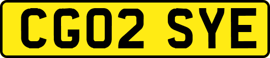 CG02SYE