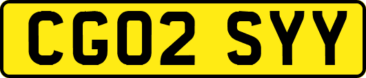CG02SYY