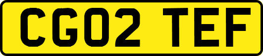 CG02TEF