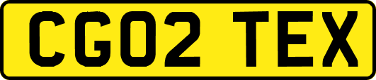 CG02TEX