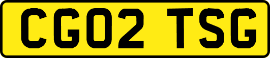 CG02TSG