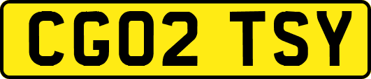 CG02TSY
