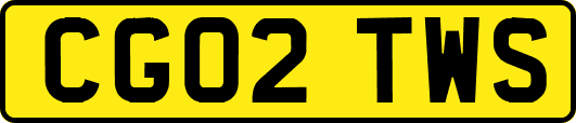 CG02TWS