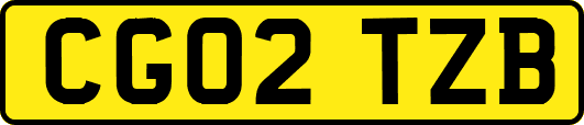 CG02TZB