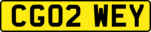 CG02WEY