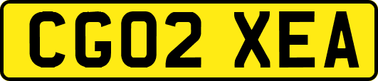 CG02XEA