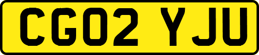 CG02YJU