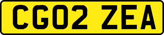 CG02ZEA