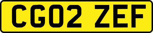 CG02ZEF