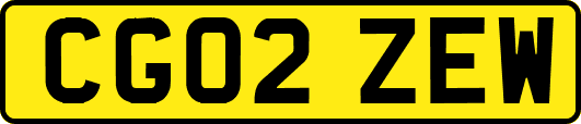 CG02ZEW