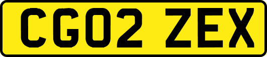 CG02ZEX