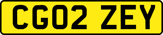CG02ZEY