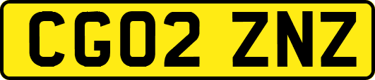 CG02ZNZ