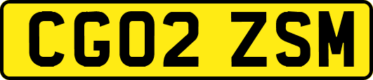 CG02ZSM