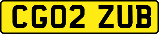 CG02ZUB