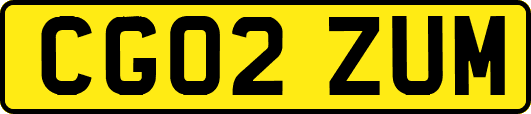 CG02ZUM