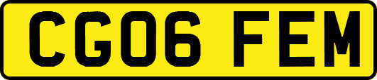 CG06FEM