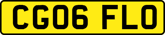 CG06FLO