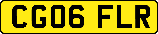 CG06FLR