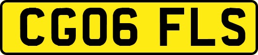 CG06FLS
