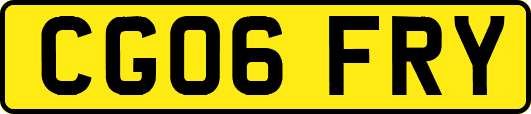 CG06FRY