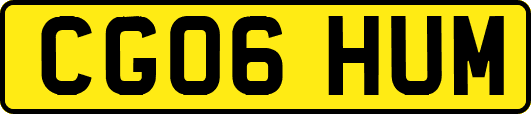 CG06HUM
