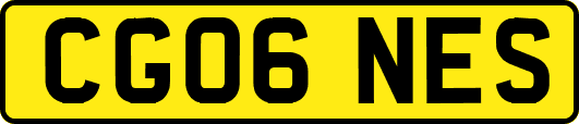 CG06NES