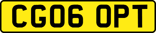 CG06OPT