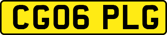 CG06PLG