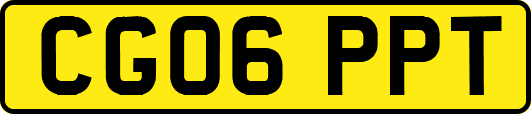 CG06PPT