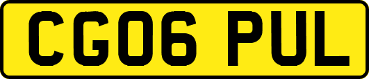 CG06PUL