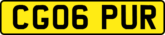 CG06PUR