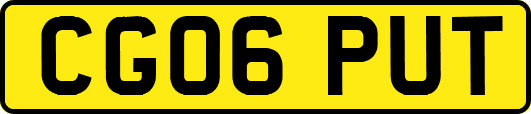 CG06PUT