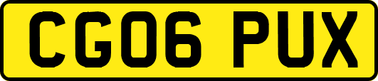 CG06PUX