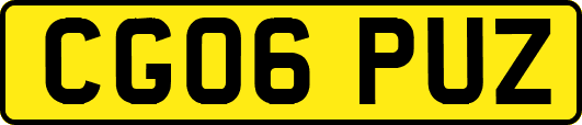 CG06PUZ