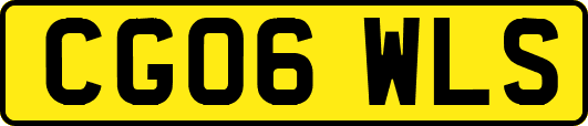 CG06WLS