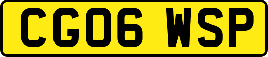 CG06WSP