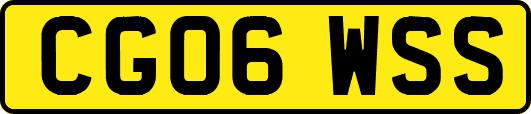 CG06WSS