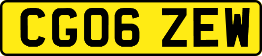 CG06ZEW