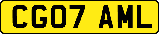 CG07AML