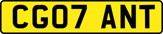 CG07ANT