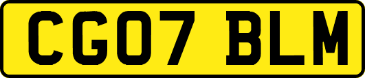 CG07BLM
